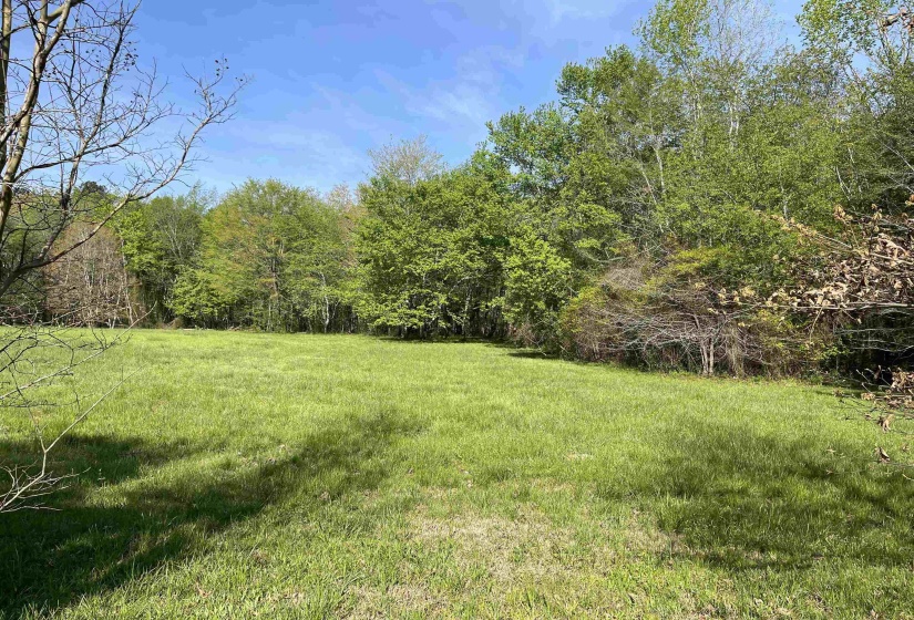 1 WOODS RD, Adamsville, Tennessee 38310, ,Land,For Sale,WOODS,10197691