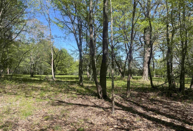 1 WOODS RD, Adamsville, Tennessee 38310, ,Land,For Sale,WOODS,10197691