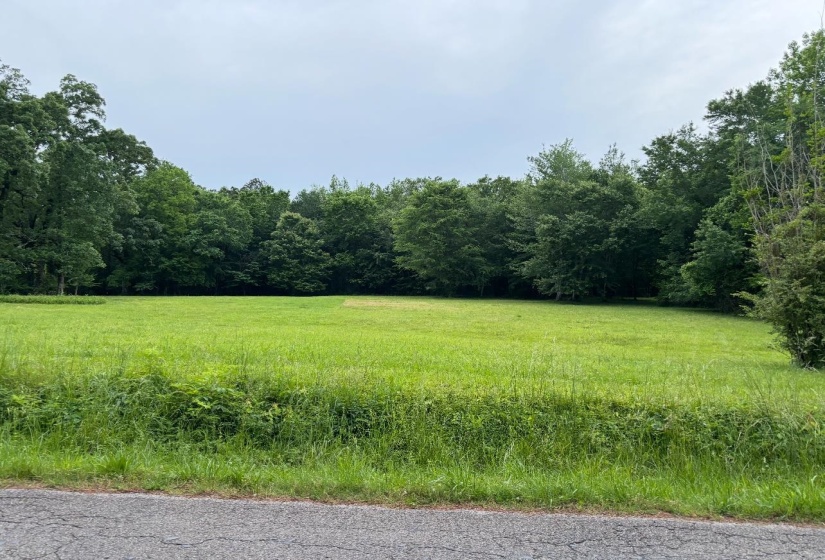 1 WOODS RD, Adamsville, Tennessee 38310, ,Land,For Sale,WOODS,10197691