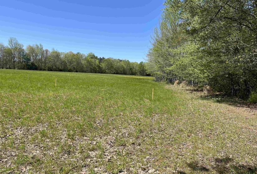 1 WOODS RD, Adamsville, Tennessee 38310, ,Land,For Sale,WOODS,10197691