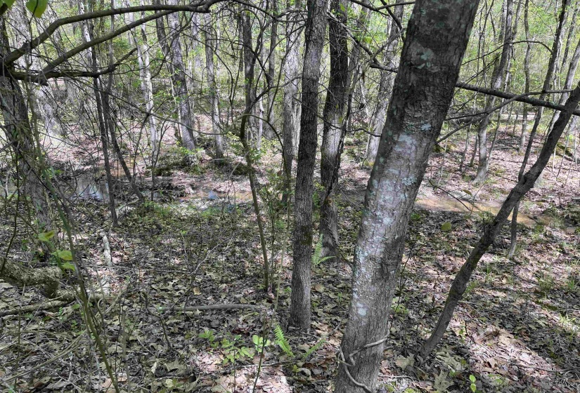 1 WOODS RD, Adamsville, Tennessee 38310, ,Land,For Sale,WOODS,10197691