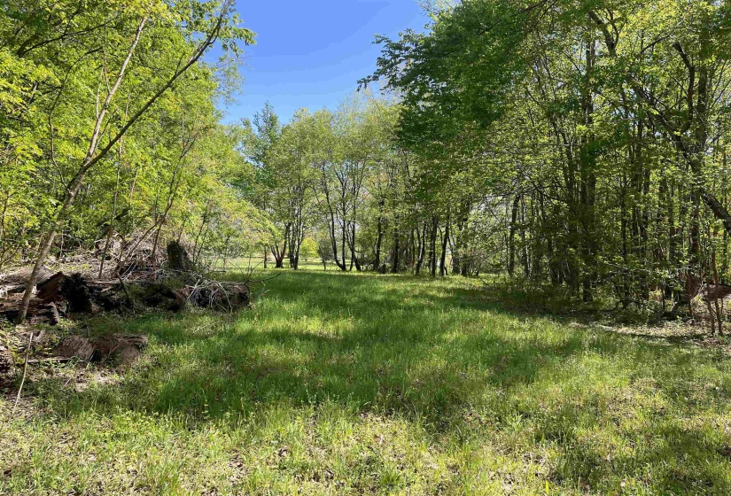 1 WOODS RD, Adamsville, Tennessee 38310, ,Land,For Sale,WOODS,10197691