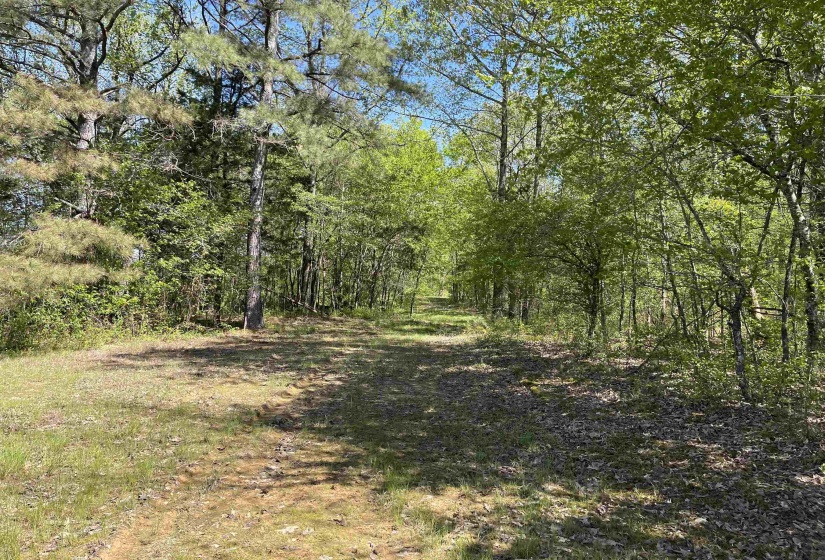 1 WOODS RD, Adamsville, Tennessee 38310, ,Land,For Sale,WOODS,10197691
