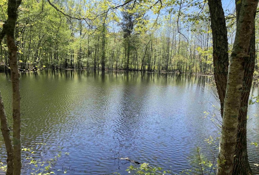 1 WOODS RD, Adamsville, Tennessee 38310, ,Land,For Sale,WOODS,10197691
