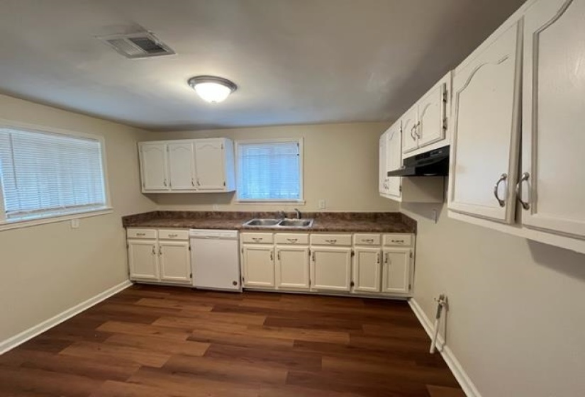 Kitchen featuring dishwasher, under cabinet range hood, a sink, dark countertops, and healthy amount of natural light