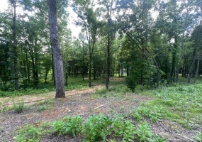 340 DELTA QUEEN CV, Clifton, Tennessee 38425, ,Land,For Sale,DELTA QUEEN,10197833