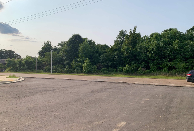 0 MILTON WILSON RD, Arlington, Tennessee 38002, ,Land,For Sale,MILTON WILSON,10197853