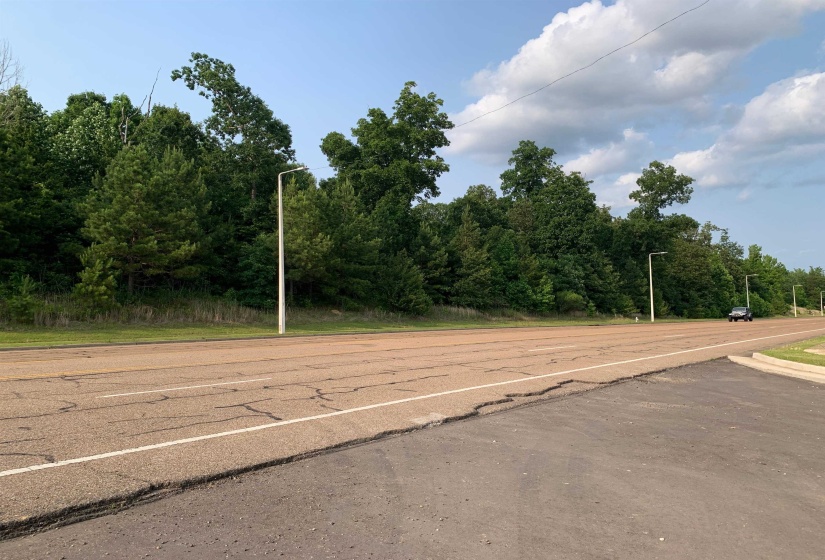 0 MILTON WILSON RD, Arlington, Tennessee 38002, ,Land,For Sale,MILTON WILSON,10197853