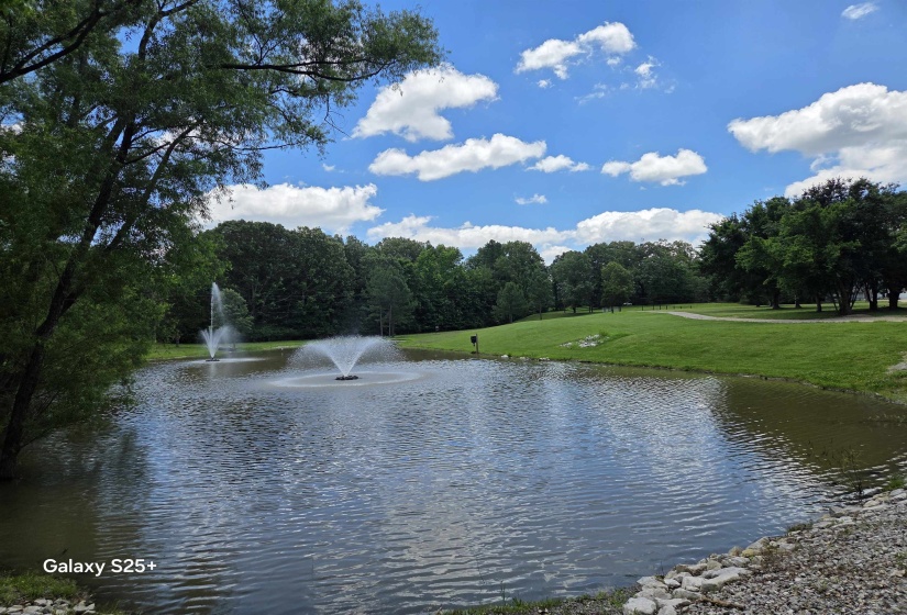 Water view
