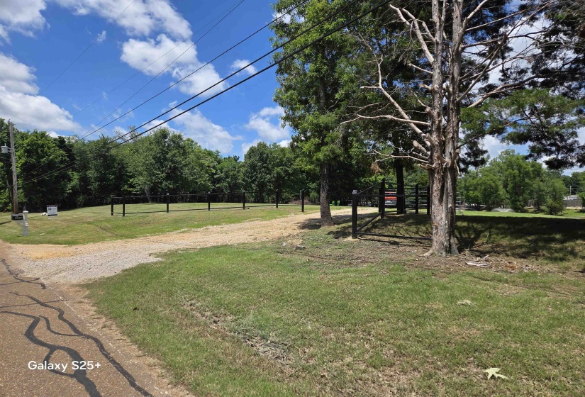 View of green lawn