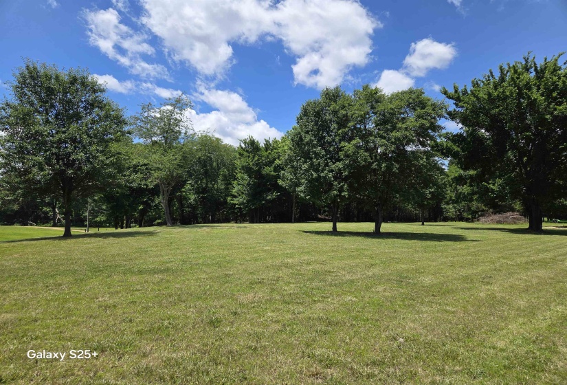 View of green lawn