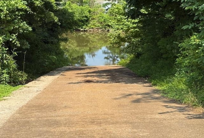 330 NASH LANDING LN, Counce, Tennessee 38326, ,Land,For Sale,NASH LANDING,10198082