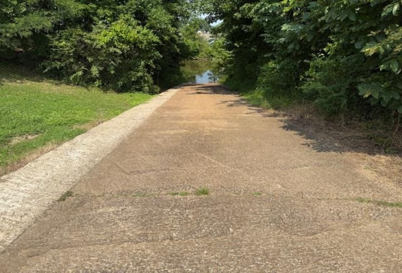 330 NASH LANDING LN, Counce, Tennessee 38326, ,Land,For Sale,NASH LANDING,10198082