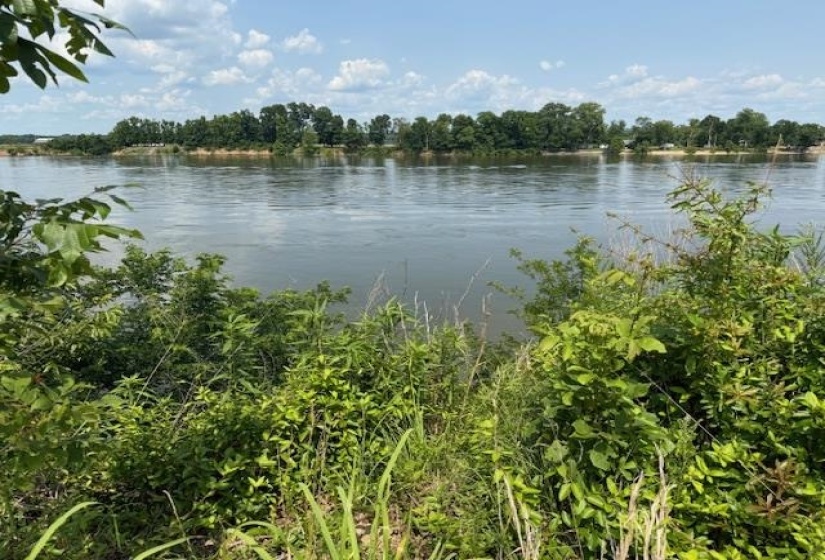 330 NASH LANDING LN, Counce, Tennessee 38326, ,Land,For Sale,NASH LANDING,10198082