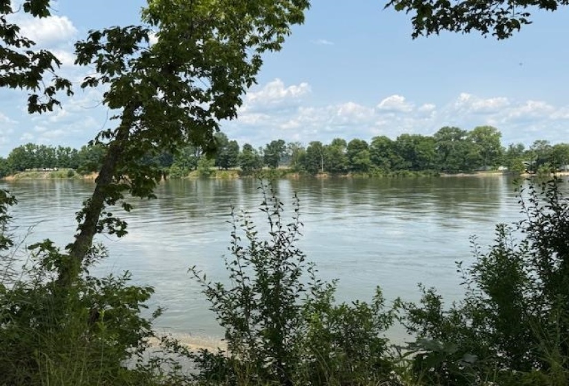 330 NASH LANDING LN, Counce, Tennessee 38326, ,Land,For Sale,NASH LANDING,10198082