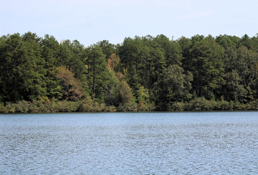 1208 REDWOOD DR, Saulsbury, Tennessee 38067, ,Land,For Sale,REDWOOD,10198157