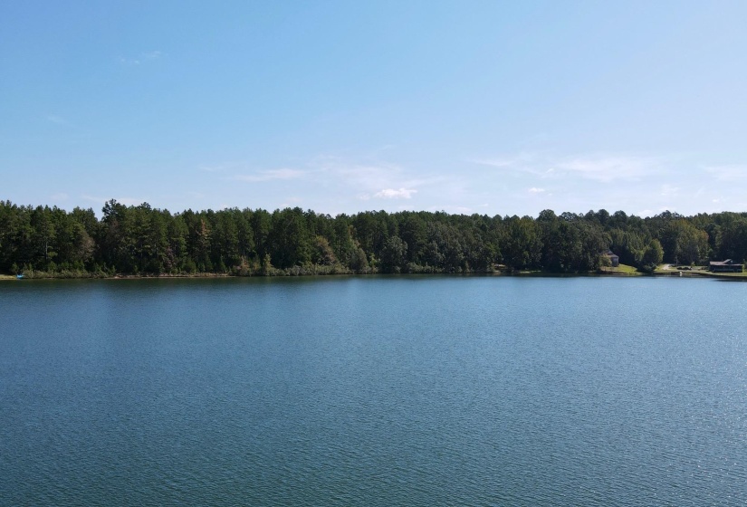 1208 REDWOOD DR, Saulsbury, Tennessee 38067, ,Land,For Sale,REDWOOD,10198157