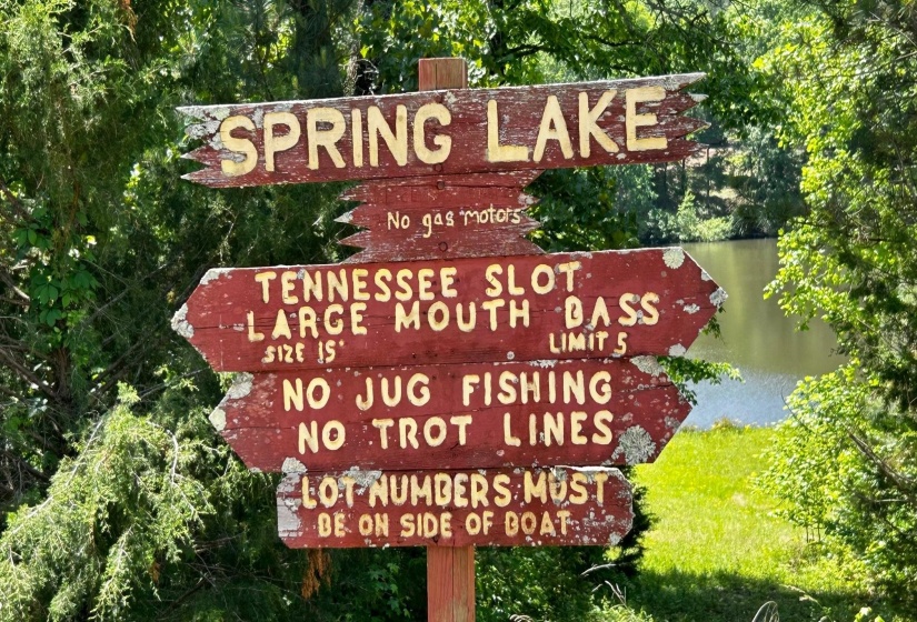 1208 REDWOOD DR, Saulsbury, Tennessee 38067, ,Land,For Sale,REDWOOD,10198157