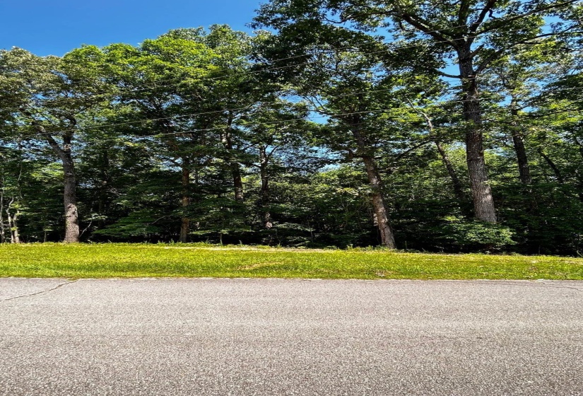 1020 HOPEWELL DR, Unicorp/Saulsbury, Tennessee 38067, ,Land,For Sale,HOPEWELL,10198163