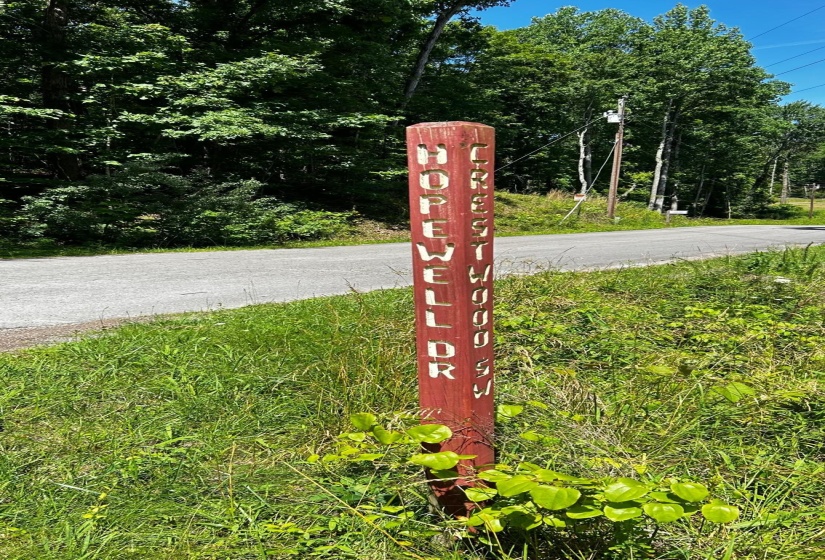 1020 HOPEWELL DR, Unicorp/Saulsbury, Tennessee 38067, ,Land,For Sale,HOPEWELL,10198163