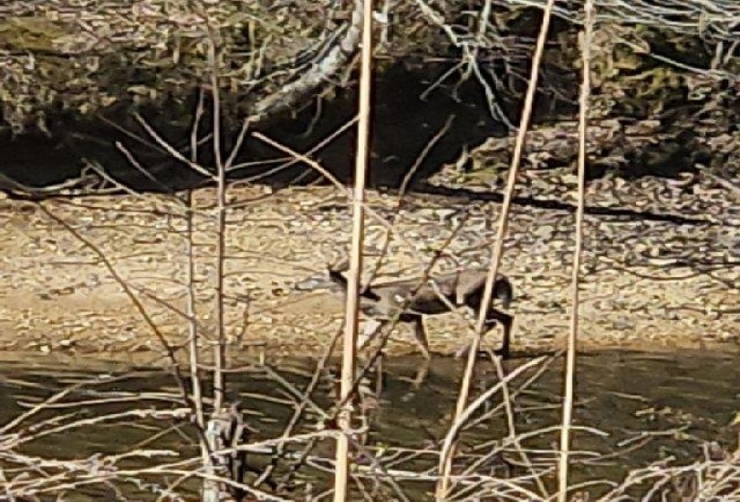 View of undeveloped land