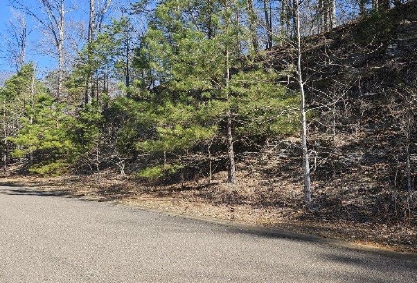 View of asphalt road featuring a wooded view