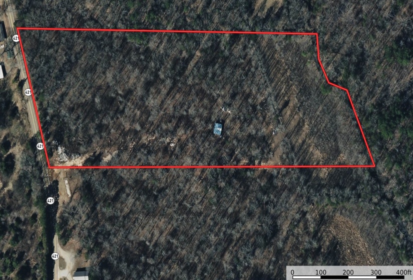 2460 421 HWY, Sardis, Tennessee 38371, ,Land,For Sale,421,10198274