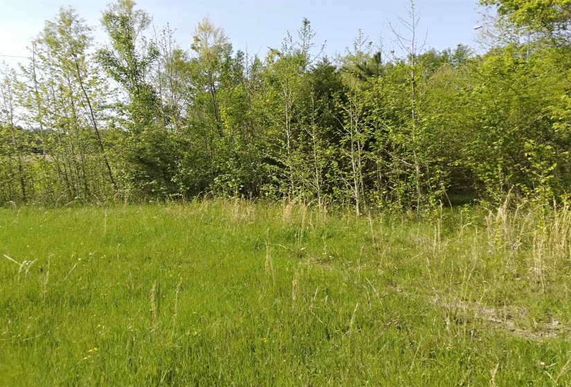 View of nature