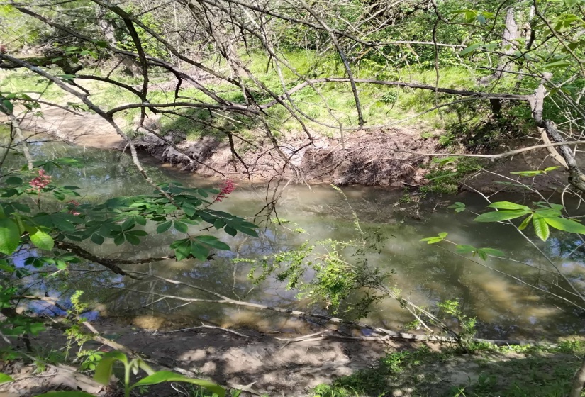 View of local wilderness featuring a nearby body of water