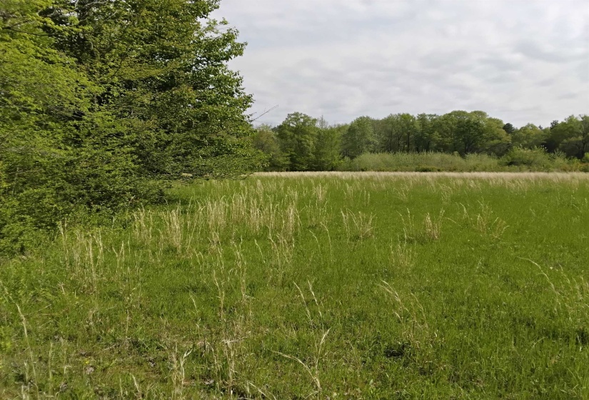 0 64 HWY, Lakeland, Tennessee 38002, ,Land,For Sale,64,10198392