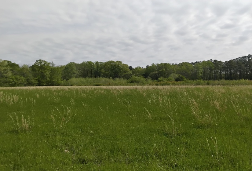 0 64 HWY, Lakeland, Tennessee 38002, ,Land,For Sale,64,10198392