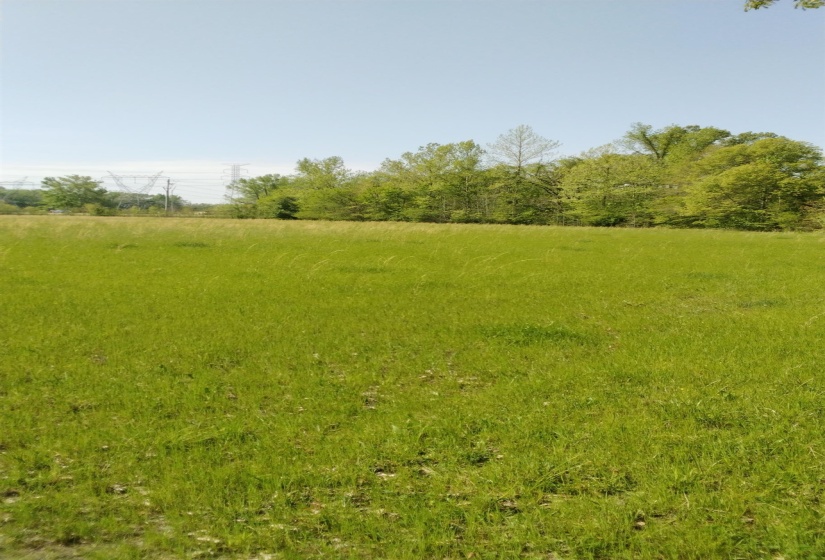 View of undeveloped land featuring rural landscape