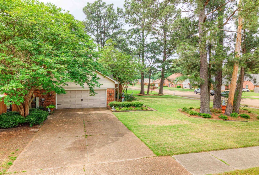 View of grassy yard with concrete driveway and an attached garage