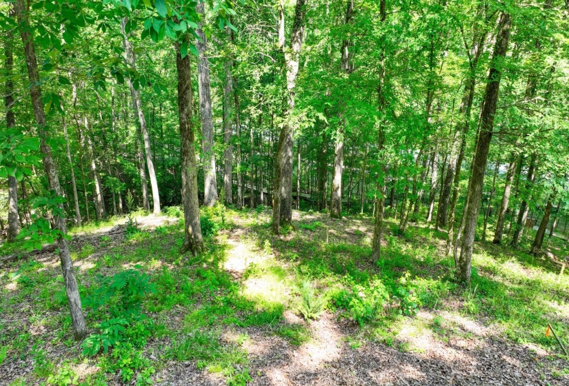 LOT 274 & 275 SECLUDED LOOP, Savannah, Tennessee 38372, ,Land,For Sale,SECLUDED,10198928