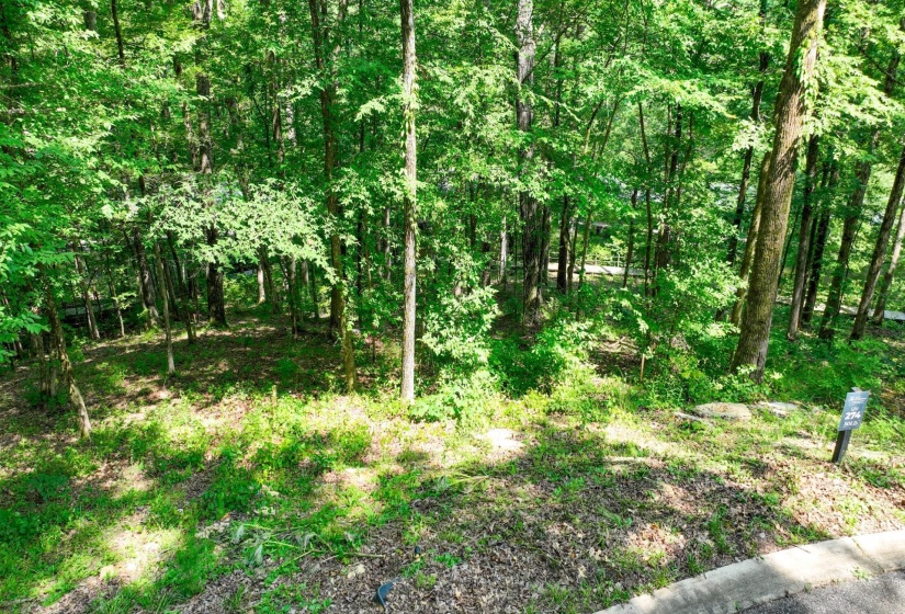 LOT 274 & 275 SECLUDED LOOP, Savannah, Tennessee 38372, ,Land,For Sale,SECLUDED,10198928