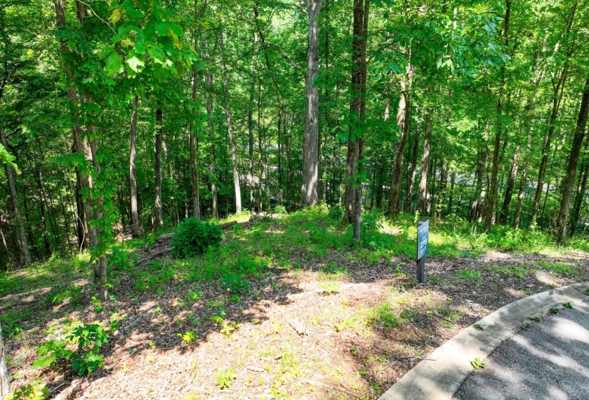 LOT 274 & 275 SECLUDED LOOP, Savannah, Tennessee 38372, ,Land,For Sale,SECLUDED,10198928