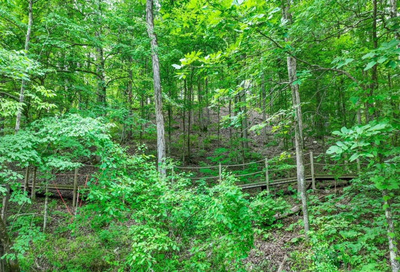 LOT 274 & 275 SECLUDED LOOP, Savannah, Tennessee 38372, ,Land,For Sale,SECLUDED,10198928