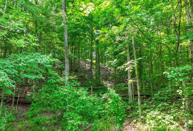 LOT 274 & 275 SECLUDED LOOP, Savannah, Tennessee 38372, ,Land,For Sale,SECLUDED,10198928