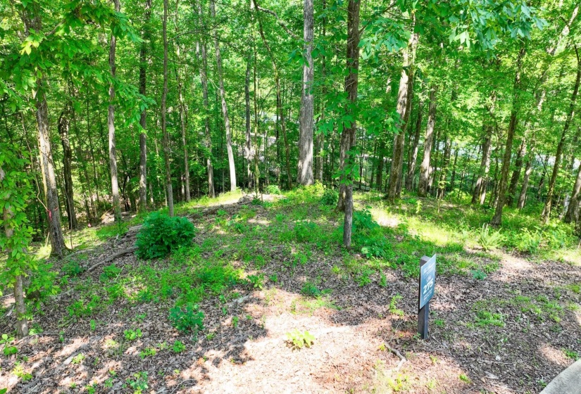 LOT 274 & 275 SECLUDED LOOP, Savannah, Tennessee 38372, ,Land,For Sale,SECLUDED,10198928