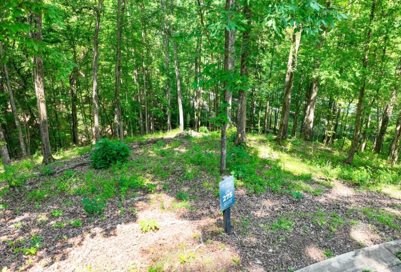 LOT 274 & 275 SECLUDED LOOP, Savannah, Tennessee 38372, ,Land,For Sale,SECLUDED,10198928