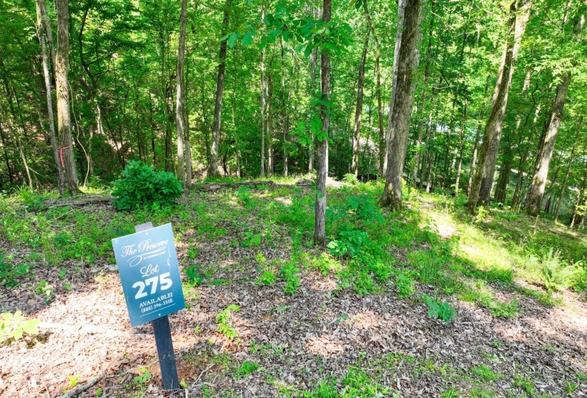 LOT 274 & 275 SECLUDED LOOP, Savannah, Tennessee 38372, ,Land,For Sale,SECLUDED,10198928