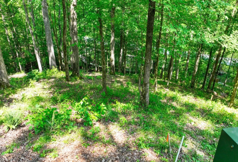 LOT 274 & 275 SECLUDED LOOP, Savannah, Tennessee 38372, ,Land,For Sale,SECLUDED,10198928