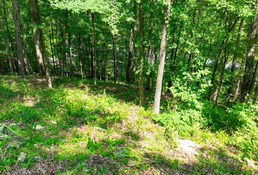 LOT 274 & 275 SECLUDED LOOP, Savannah, Tennessee 38372, ,Land,For Sale,SECLUDED,10198928