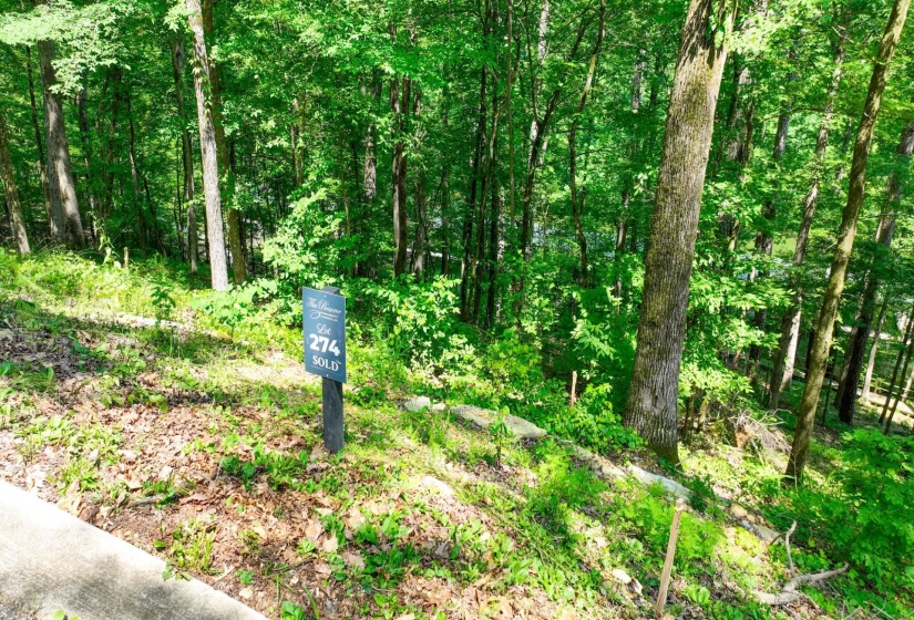 LOT 274 & 275 SECLUDED LOOP, Savannah, Tennessee 38372, ,Land,For Sale,SECLUDED,10198928