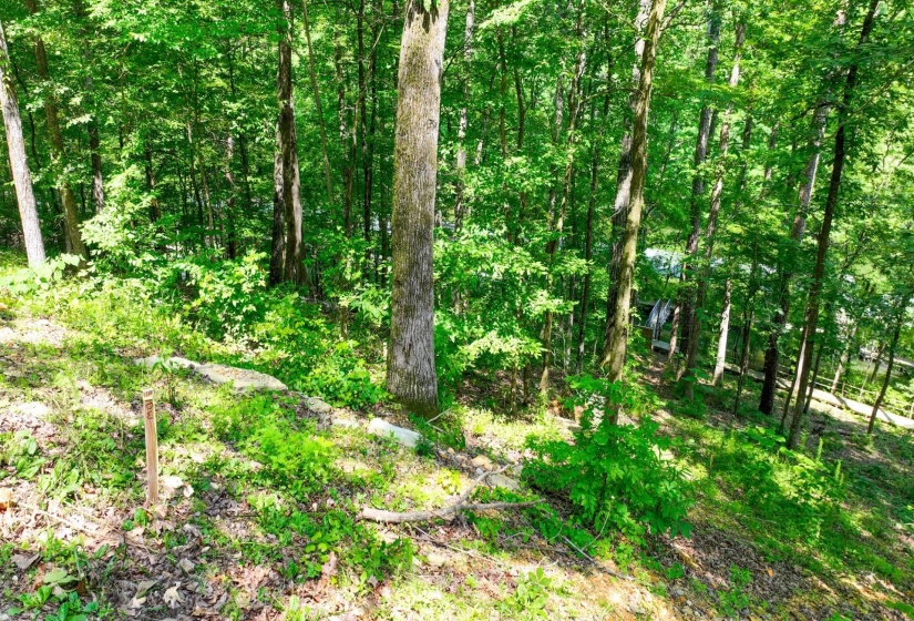 LOT 274 & 275 SECLUDED LOOP, Savannah, Tennessee 38372, ,Land,For Sale,SECLUDED,10198928