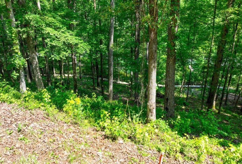 LOT 274 & 275 SECLUDED LOOP, Savannah, Tennessee 38372, ,Land,For Sale,SECLUDED,10198928