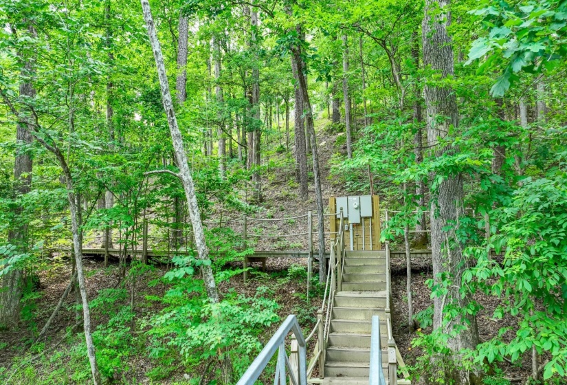 LOT 274 & 275 SECLUDED LOOP, Savannah, Tennessee 38372, ,Land,For Sale,SECLUDED,10198928
