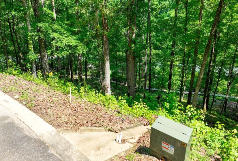 LOT 274 & 275 SECLUDED LOOP, Savannah, Tennessee 38372, ,Land,For Sale,SECLUDED,10198928