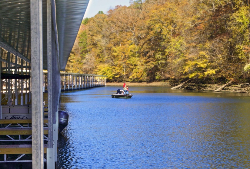 Water view featuring a heavily wooded area