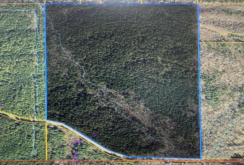 0 CR 306 TRACT 2 DR, Corinth, Mississippi 38834, ,Land,For Sale,CR 306 TRACT 2,10199110